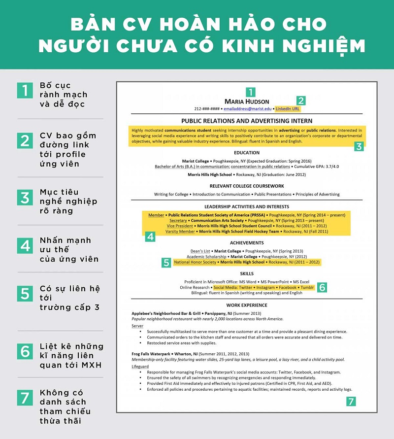 Cấu tạo cơ bản cần có của CV cho người chưa có kinh nghiệm