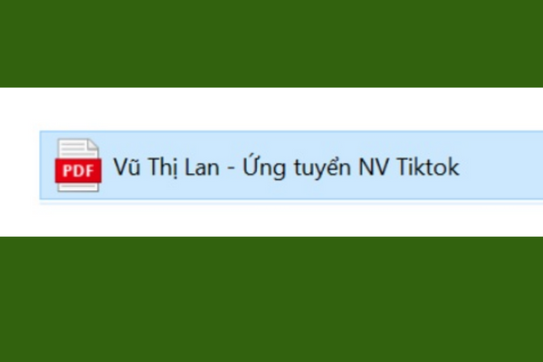 Một cấu trúc tiêu đề CV đơn giản nhưng chuẩn gồm Họ Tên - Vị trí ứng tuyển